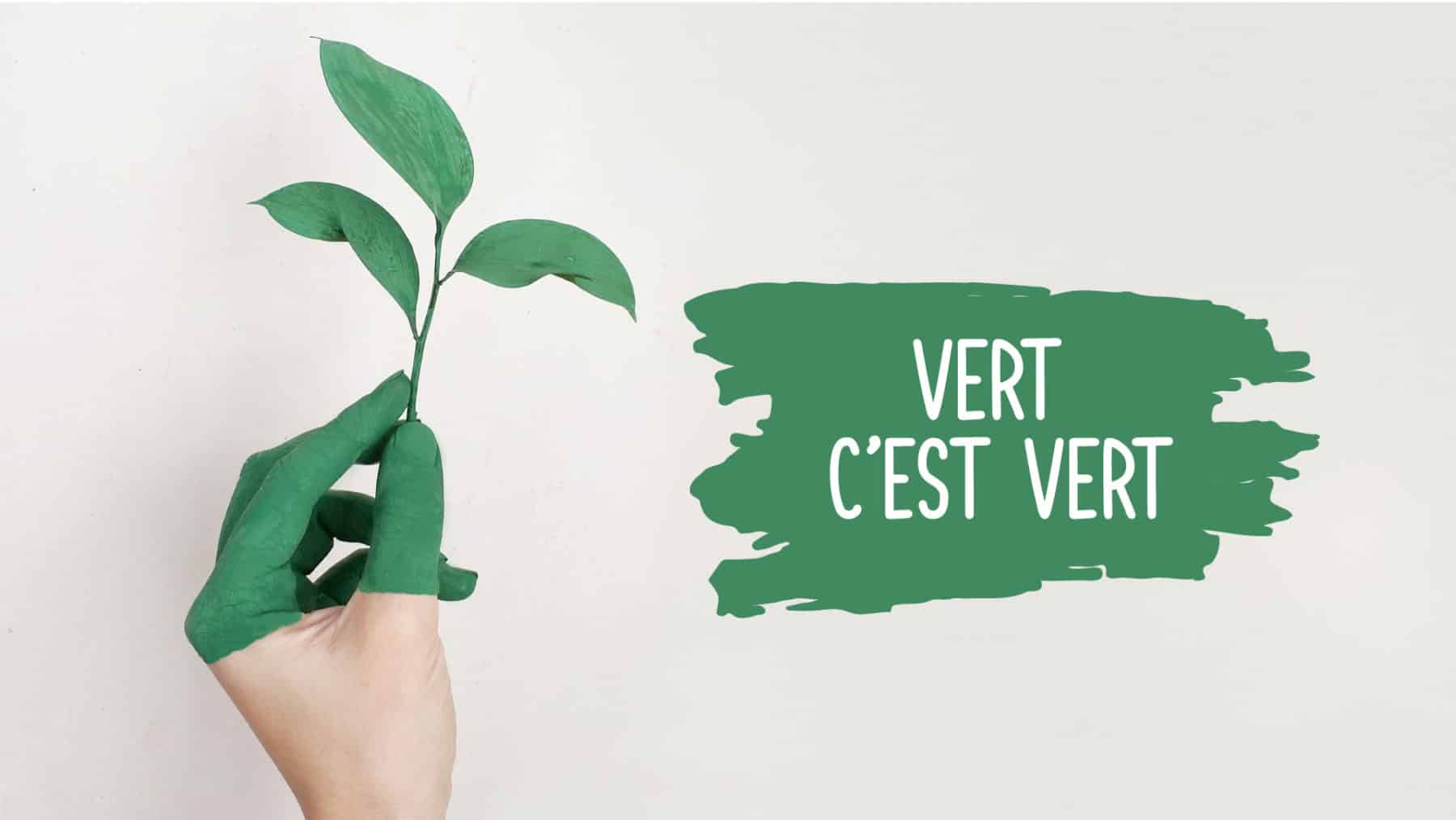 Cest Vert Top 7null