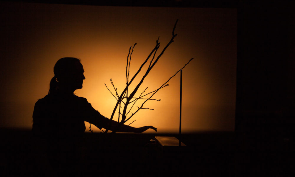 Coup d’envoi ce mercredi du Festival des arts vivants à Nyon Coup d’envoi ce mercredi du Festival des arts vivants à Nyon