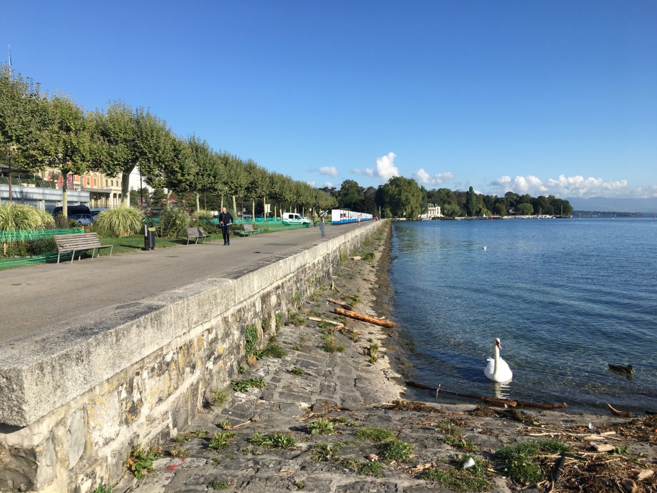 La Rade de Genève offrira un meilleur accès au lac | Radio Lac