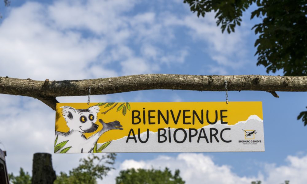 Le bioparc victime de faux récolteurs de dons