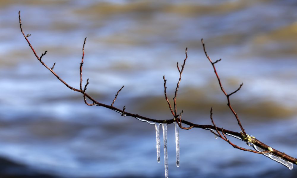 Des températures négatives jusque dans les plaines