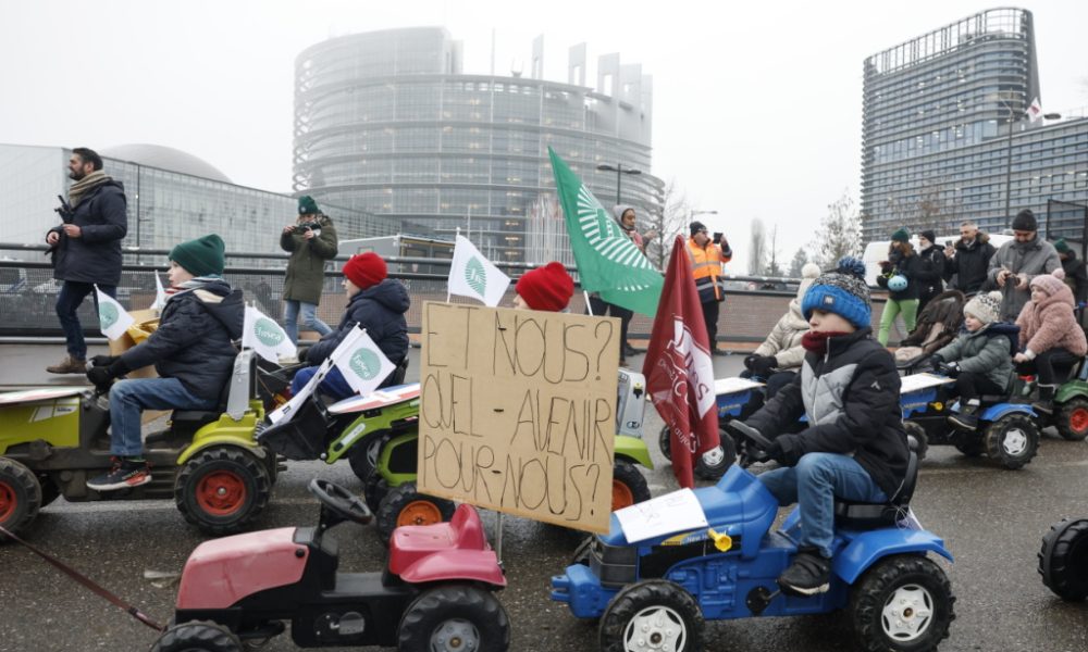Mercosur: le Parlement européen saisit la justice de l'UE