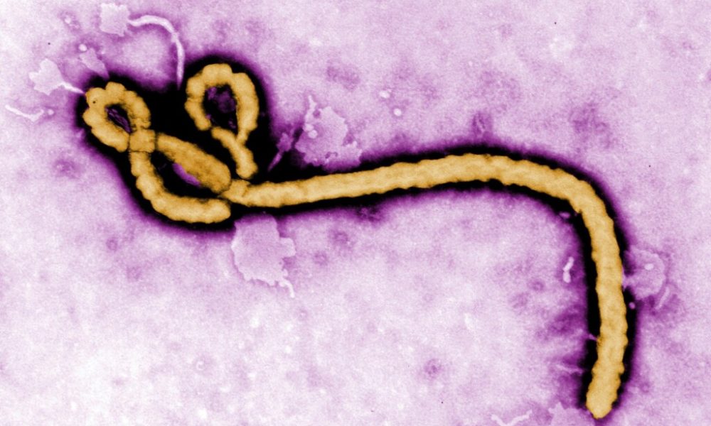 Ebola outbreak: WHO declares international health emergency