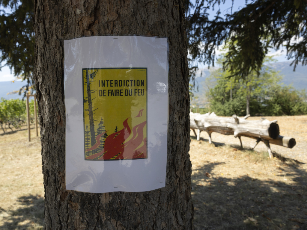 Genève interdit totalement les feux en forêt
